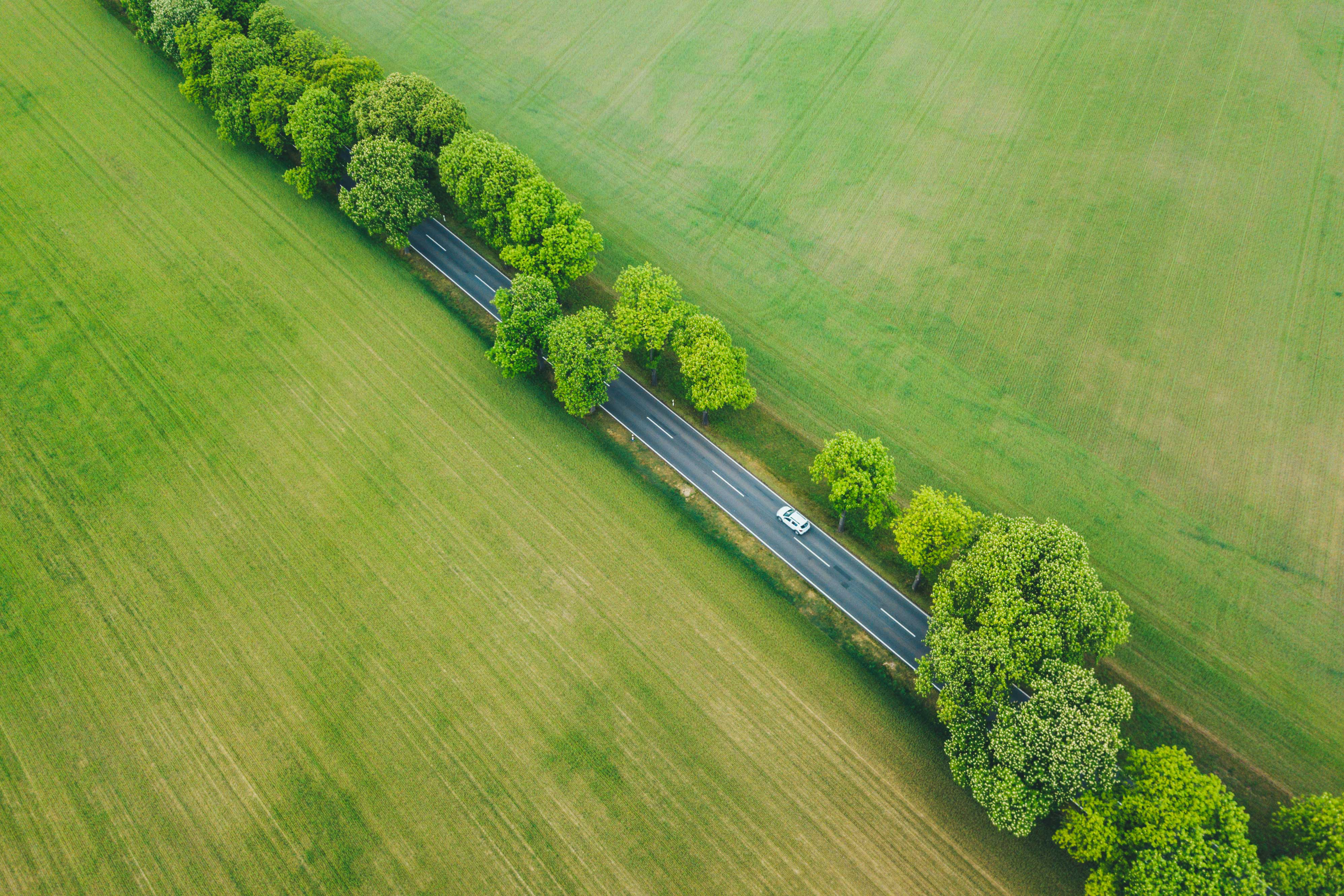 Ein weißes Auto fährt auf einer Landstraße zwischen Bäumen und Wiesen